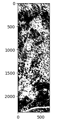 NDVI Thresholding